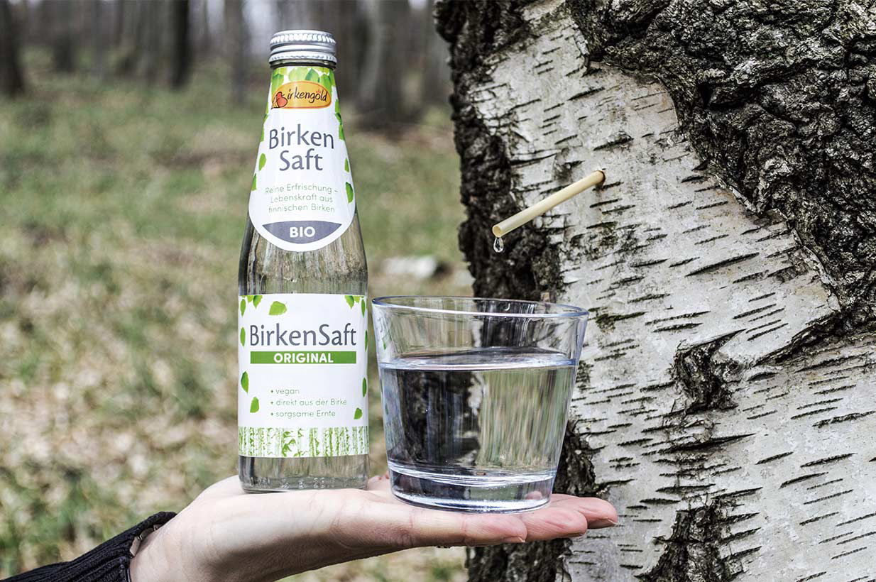 Herkunft Birkenwasser Birkengold