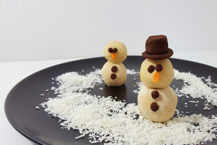 Kokos Schneebälle low carb - Birkengold