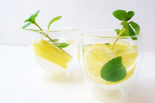 Rezept Tee Zitrone Minze mit Birkenzucker
