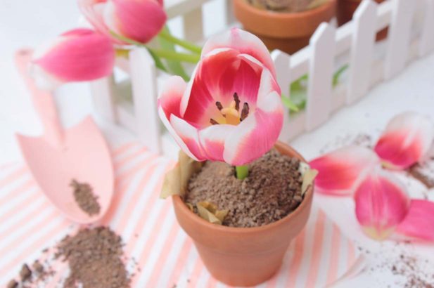 Muffins im Blumentopf, Muttertagskuchen, Muttertagsmuffins, zuckerfreie Muffins im Topf,