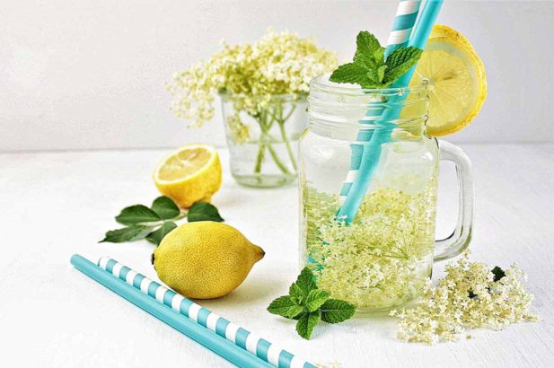 Rezept Holler Holunder Saft Sirup zuckerfrei mit Xylit