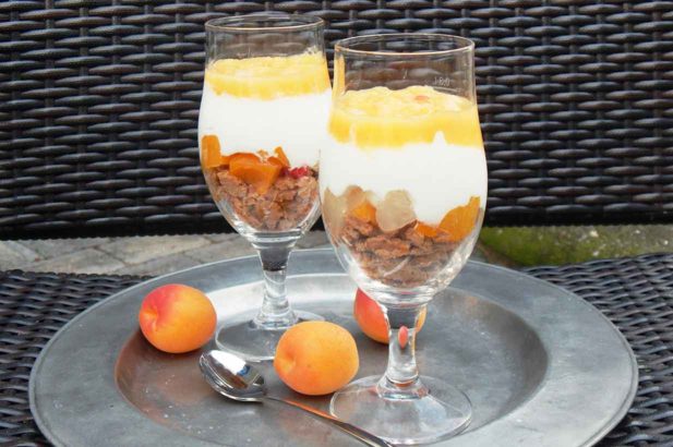 Schichtdessert mit Keksen, Cremedessert, Obstdessert, Marillendessert, Obstcreme im Glas, zuckerfrei, ohne Zucker, Aprikosendessert
