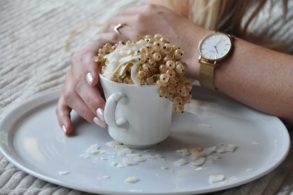 Oatmeal, Haferbrei, Johannisbeeren, zuckerfrei, ohne Zucker, Ribiselflocken