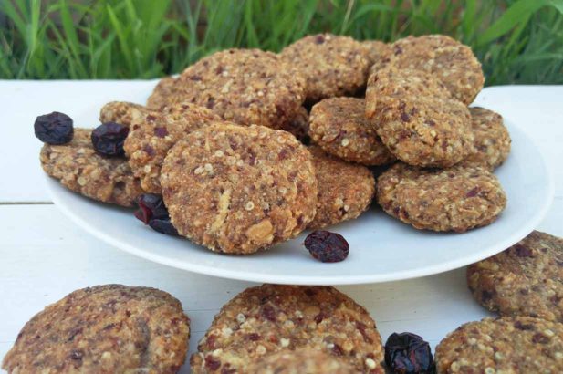 Kekse für Kinder, Gesunde Kekse, Zuckerfreie Kekse, Vegane Kekse, Energiekekse, Vitalkekse, zuckerfrei, vegan