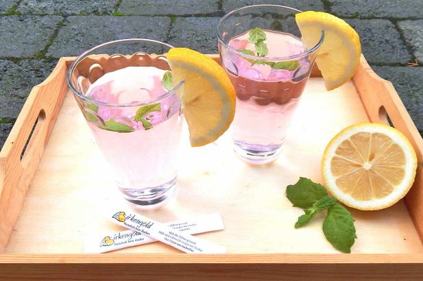 Erdbeerlimonade, Rhabarberlimonade, Sommerlimonade, DIY Limonade, Erdbeerdrink, Rhabarberdrink, selber machen, zuckerfrei