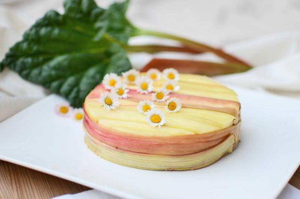 Rhabarberkuchen, Käsekuchen, Rhuburb Cheesecake, zuckerfrei