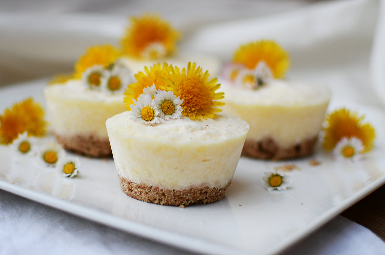 Ananas Dessert ohne Zucker - Birkengold