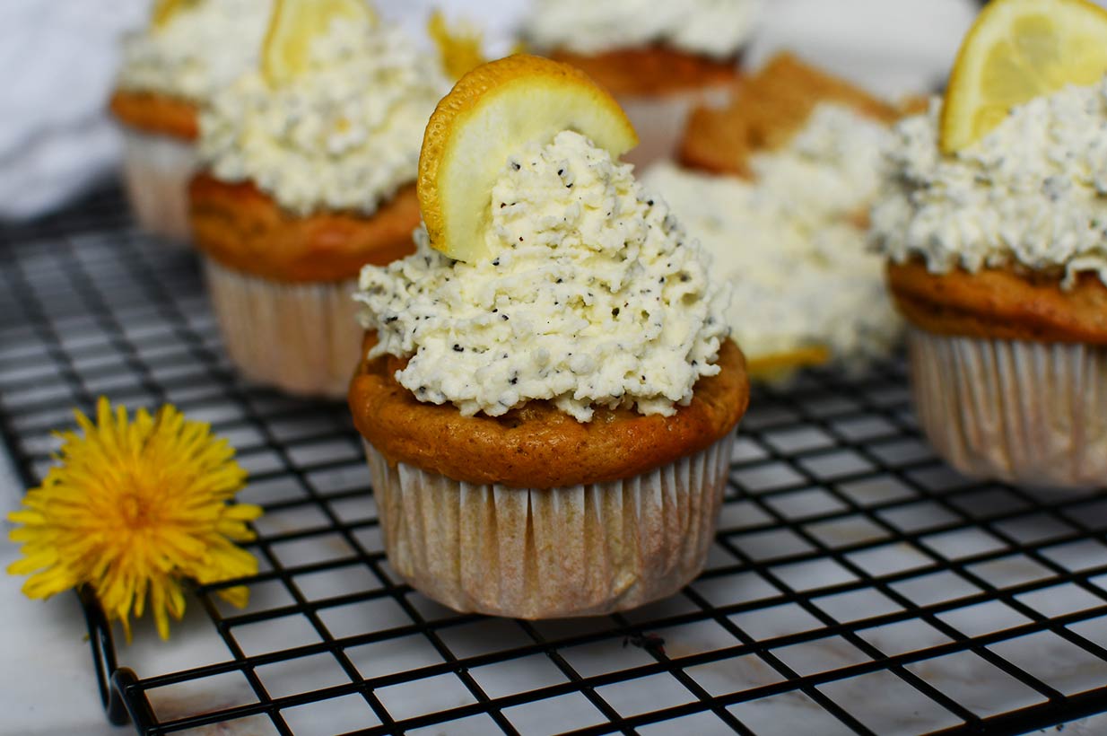 Zitronen-Mohn-Cupcakes ohne Zucker - ohne Zucker -Birkengold