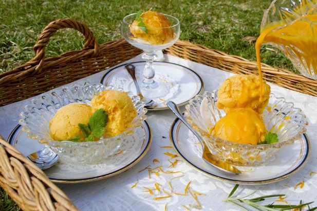 Sanddorn Eis ohne Zucker, Sanddorn Eis mit Birkenzucker, Sanddorn-Melonen Eis zuckerfrei