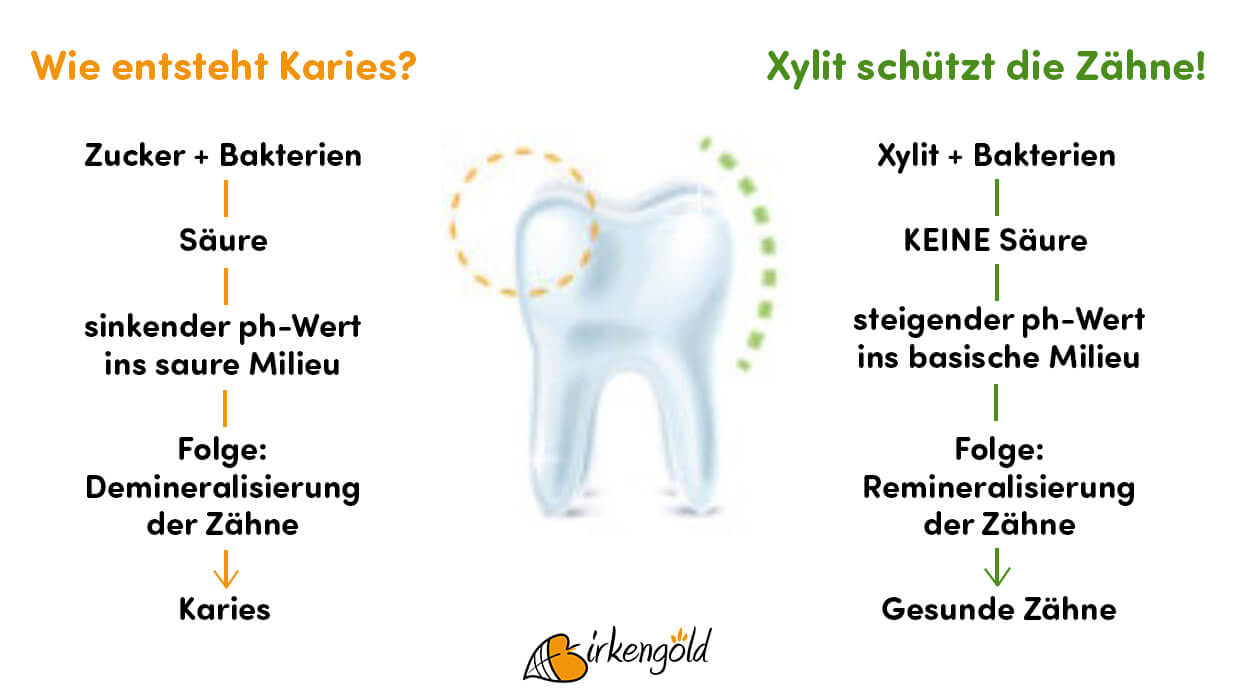 Xylit für gesunde Zähne Birkengold