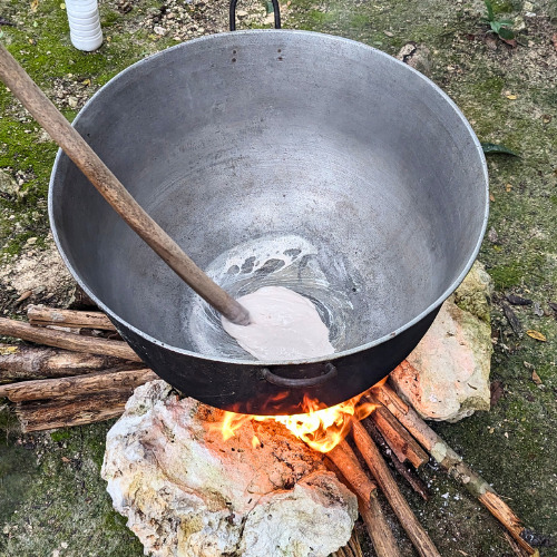 Der Milchsaft wird zur Veranschaulichung in einem Topf über dem Feuer erhitzt und eingedickt.