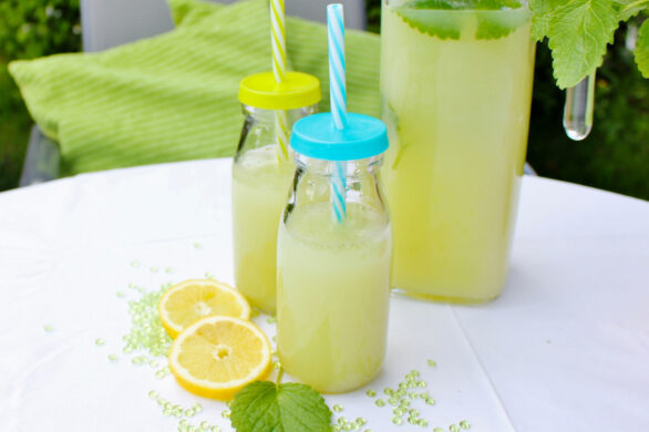 Zitronenlimonade selber machen - ohne Zucker ohne Zucker - Birkengold Zitronenlimonade selber machen - ohne Zucker ohne Zucker - Birkengold